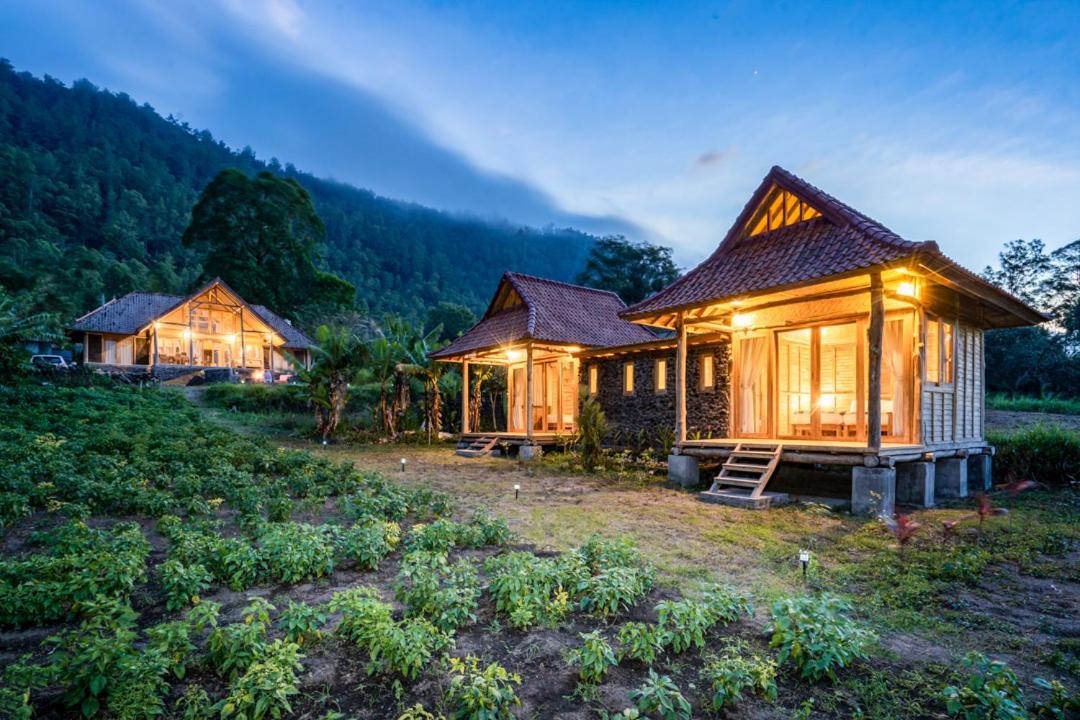 Pondok Manoka Kintamani Exterior foto